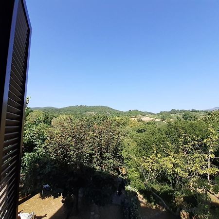 Palazzone Villa Le Palmine מראה חיצוני תמונה