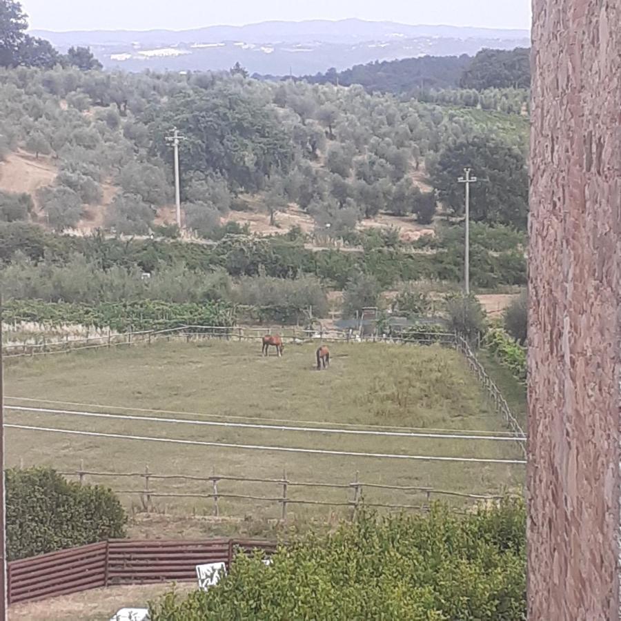 Palazzone Villa Le Palmine מראה חיצוני תמונה