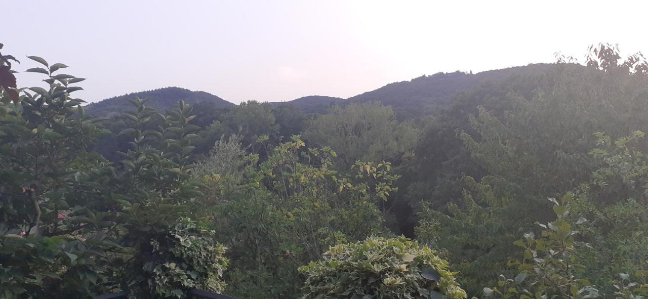 Palazzone Villa Le Palmine מראה חיצוני תמונה