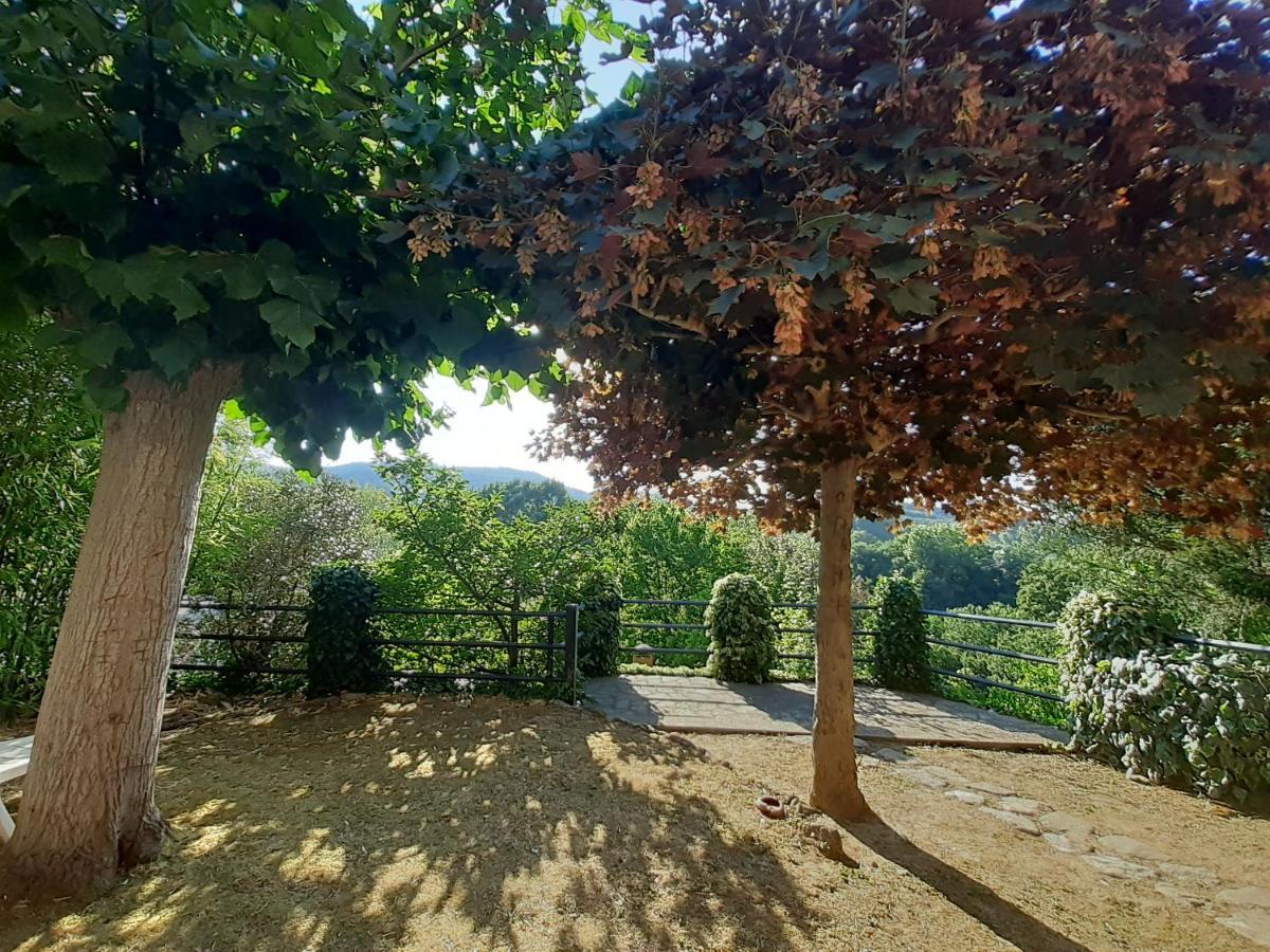 Palazzone Villa Le Palmine מראה חיצוני תמונה