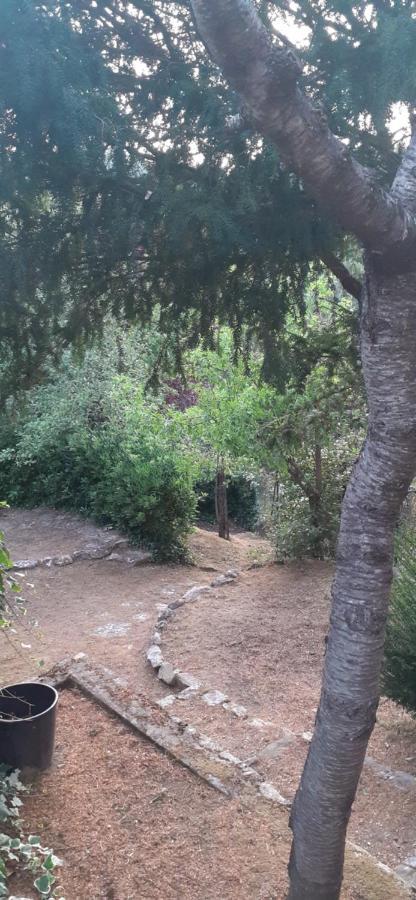 Palazzone Villa Le Palmine מראה חיצוני תמונה