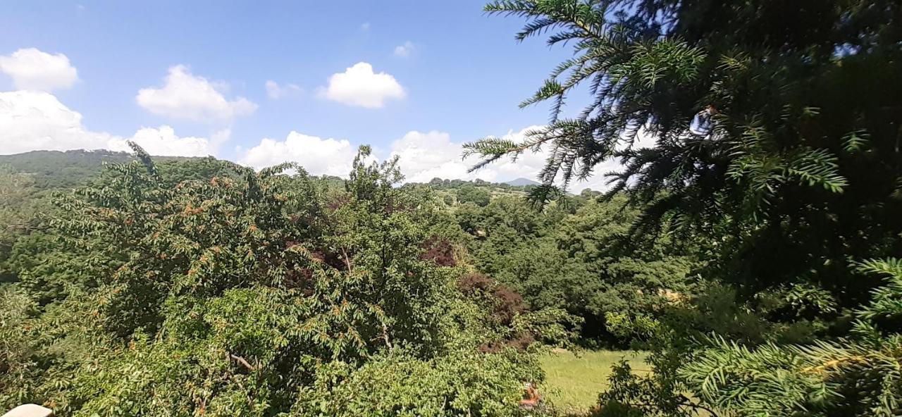 Palazzone Villa Le Palmine מראה חיצוני תמונה